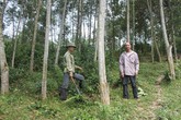 Đền bù “treo”, dân đói nghèo Đền bù “treo”, dân đói nghèo