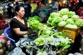 Rau xanh tăng giá gấp đôi Rau xanh tăng giá gấp đôi