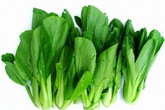 Công dụng chữa bệnh tuyệt vời của cải xanh Công dụng chữa bệnh tuyệt vời của cải xanh