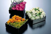 5 cách cắm hoa trẻ trung, đầy ấn tượng 5 cách cắm hoa trẻ trung, đầy ấn tượng