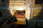 Kinh doanh rắn độc lỗ cả trăm triệu đồng Kinh doanh rắn độc lỗ cả trăm triệu đồng