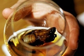 Rùng rợn loại cocktail được ngâm từ những ngón chân người Rùng rợn loại cocktail được ngâm từ những ngón chân người