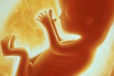 Những sự thật kinh ngạc về thai nhi trong bụng mẹ Những sự thật kinh ngạc về thai nhi trong bụng mẹ