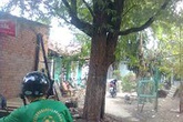 Hy hữu: Trúng 55 vé số độc đắc trong 60 ngày Hy hữu: Trúng 55 vé số độc đắc trong 60 ngày