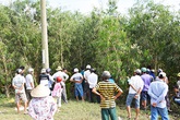 Phát hiện thiếu nữ chết lõa thể trong rừng tràm Phát hiện thiếu nữ chết lõa thể trong rừng tràm