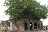Ngôi đình cổ “độc nhất vô nhị” nằm trong lòng cây bồ đề Ngôi đình cổ “độc nhất vô nhị” nằm trong lòng cây bồ đề