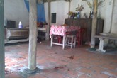 Sát hại em gái rồi ra vườn phủ lá ngụy trang Sát hại em gái rồi ra vườn phủ lá ngụy trang