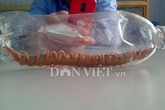 Thời tiết dị thường, rết “khủng” liên tục xuất hiện trong nhà Thời tiết dị thường, rết “khủng” liên tục xuất hiện trong nhà