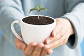 10 công dụng tuyệt vời của bã cà phê 10 công dụng tuyệt vời của bã cà phê
