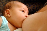 Nguyên nhân khiến trẻ bỏ bú mẹ đột ngột Nguyên nhân khiến trẻ bỏ bú mẹ đột ngột