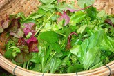 Canh rau tập tàng nấu tôm Canh rau tập tàng nấu tôm