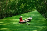 Lấy vợ chọn tông Lấy vợ chọn tông