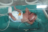 Giành giật sinh - tử vì cố mang thai Giành giật sinh - tử vì cố mang thai