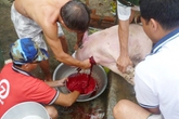 Sợ thịt bẩn, rủ nhau mua lợn thịt ăn dần Sợ thịt bẩn, rủ nhau mua lợn thịt ăn dần
