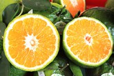 Những loại trái cây tốt từ vỏ đến ruột Những loại trái cây tốt từ vỏ đến ruột