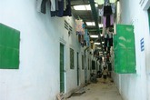 Ở ghép thời bão giá, mất luôn "cái ngàn vàng" Ở ghép thời bão giá, mất luôn "cái ngàn vàng"