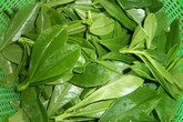 Canh rau sâm nấu tôm Canh rau sâm nấu tôm