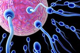 Những sự thật gây sốc về tinh trùng Những sự thật gây sốc về tinh trùng