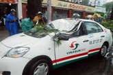 Cây cổ thụ gãy đè taxi, tài xế thoát chết Cây cổ thụ gãy đè taxi, tài xế thoát chết