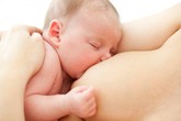 Con bú và "bí kíp" dinh dưỡng cho mẹ Con bú và "bí kíp" dinh dưỡng cho mẹ