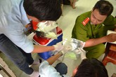 Rùng rợn công nghệ tái chế bún bằng hóa chất Rùng rợn công nghệ tái chế bún bằng hóa chất
