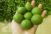 Rớt nước miếng với những món ngon từ quả sấu Rớt nước miếng với những món ngon từ quả sấu
