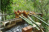 Nếm thử đặc sản khó cưỡng của Đắk Lắk Nếm thử đặc sản khó cưỡng của Đắk Lắk
