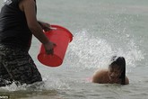 Hoảng với khóa đào tạo ra "những người không xương" Hoảng với khóa đào tạo ra "những người không xương"