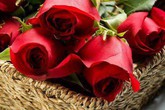 Món quà từ quá khứ Món quà từ quá khứ