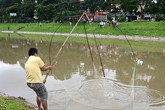 Sông Tô Lịch sạch bất ngờ, dân thi nhau bắt cá Sông Tô Lịch sạch bất ngờ, dân thi nhau bắt cá