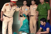 Nằm cạnh… hổ mang chúa trên xe khách Nằm cạnh… hổ mang chúa trên xe khách