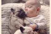 Chùm ảnh cực đáng yêu và hài hước về bé với cún con Chùm ảnh cực đáng yêu và hài hước về bé với cún con