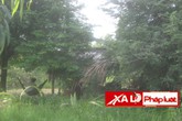 Căm phẫn gã con trai "làm bậy" với cả mẹ già 82 tuổi Căm phẫn gã con trai "làm bậy" với cả mẹ già 82 tuổi