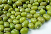 5 lưu ý cần thiết trước khi ăn đỗ xanh 5 lưu ý cần thiết trước khi ăn đỗ xanh