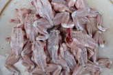 Mẹ chết, hai con nhập viện vì ăn thịt cóc Mẹ chết, hai con nhập viện vì ăn thịt cóc