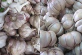 5 loại thực phẩm nên ăn nhiều vào mùa thu 5 loại thực phẩm nên ăn nhiều vào mùa thu