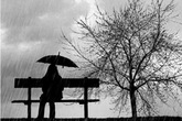 Lời xin lỗi muộn Lời xin lỗi muộn
