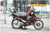 Bay 2 tỷ trúng số vì… mua mì trúng thưởng Bay 2 tỷ trúng số vì… mua mì trúng thưởng