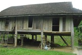 Trong cơn say cha đẻ hại chết con ruột Trong cơn say cha đẻ hại chết con ruột