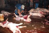 Dân Hà Nội ăn thịt heo bẩn, người Sài Gòn xài mắm cá hóa chất Dân Hà Nội ăn thịt heo bẩn, người Sài Gòn xài mắm cá hóa chất