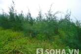 Cãi nhau với người yêu, nữ sinh bị hiếp tập thể Cãi nhau với người yêu, nữ sinh bị hiếp tập thể