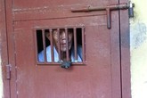 Ông lão 84 tuổi đồi bại hiếp dâm cháu gái 11 tuổi Ông lão 84 tuổi đồi bại hiếp dâm cháu gái 11 tuổi