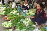 Xăng giảm nhỏ, giá đứng im, người tiêu dùng… chịu thiệt Xăng giảm nhỏ, giá đứng im, người tiêu dùng… chịu thiệt
