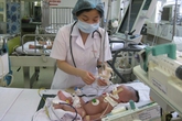 Mang họa vì 'bà đỡ vườn' Mang họa vì 'bà đỡ vườn'
