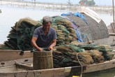 Chuyện về lão ngư mù “sát cá” trên phá Tam Giang Chuyện về lão ngư mù “sát cá” trên phá Tam Giang