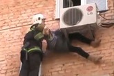 Cứu được bà lão 97 tuổi rơi khỏi cửa sổ Cứu được bà lão 97 tuổi rơi khỏi cửa sổ