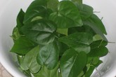 Trời nóng, lá sương sâm cao giá bất thường Trời nóng, lá sương sâm cao giá bất thường