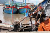 Miền Trung: Oằn mình gánh bão số 11 Miền Trung: Oằn mình gánh bão số 11