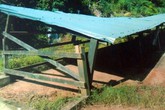 Vụ án chuồng trâu” tại Quảng Bình: Vật chứng “biết bay” Vụ án chuồng trâu” tại Quảng Bình: Vật chứng “biết bay”