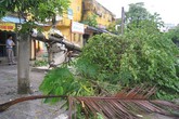 Cận cảnh sự tàn phá sau bão số 6 Cận cảnh sự tàn phá sau bão số 6